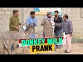 | Donkey Milk Prank | By Nadir Ali & Team in | P4 Pakao | 2022