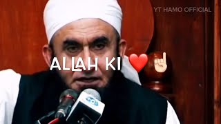 ALLAH KI KASAM EMAN WALA NAHI 😭💔 | Molana Tariq Jameel Bayan | Hamo Official | whatsapp Status