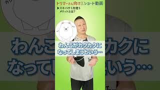 【トリミングシザー】トリマー用のスキバサミを使うと、どんなメリットがあるの？【CHOKKINシザー】 #shorts