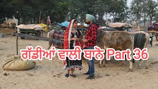 ਗੱਡੀਆਂ ਵਾਲੀ ਬਾਨੋ (Part 36) Gaddiyan wali Bano Punjabi short movie 2024 Angad tv Abhepur