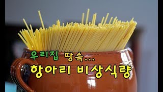 우리집 땅속에 파묻힌 항아리 비상식량...  | Conan의 생존스쿨