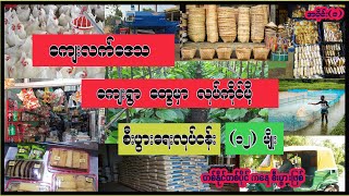 ကျေးလက်ဒေသ ကျေးရွာတွေမှာ လုပ်ကိုင်ဖို့ စီးပွားရေးလုပ်ငန်း (၁၂) မျိုး