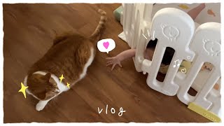 한뼘사이✨｜고양이&육아 vlog