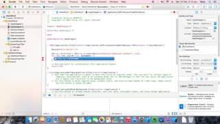 Chapter 3: Learn XCode and Objective C