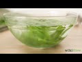 how to freeze green beans