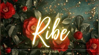 RIBE  Sudbinske poruke🔥Prekretnica života!❤️ 🙏 ✨  TAROT  CITANJE