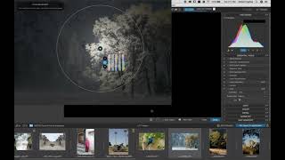 DxO Webinar: Sculpting the light using U point with Dan Hughes