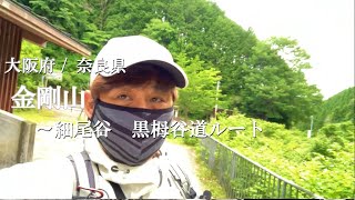 登山日記　金剛山　細尾谷〜黒栂谷(セト)ルート 【VLOG】