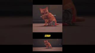 Stray #stray #cat #gameplay