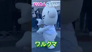 【推し活日記ショート動画＃62 】#shorts　宮城セキスイハイムスーパーアリーナのワルクマちゃん！　#DREAMS_COME_TRUE　＃ウラワン　＃ワルクマ　＃宮城セキスイハイムスーパーアリーナ