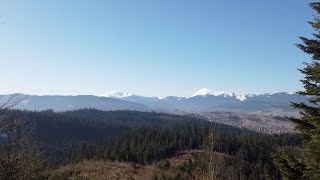 Яблуниця. Гори, ліс, квіти. Фантастичні краєвиди