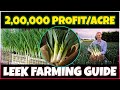 Leek Farming | Growing Leeks from Seeds at Home | Comprehensive Leek Cultivation Guide