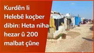 Kurdên li Helebê koçber dibin: Heta niha hezar û 200 malbat çûne