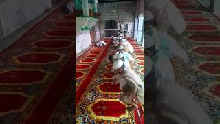 kya He Haqiqat Namaz Ke / Nazam Short video 📹 #namaz #nawaz #nama #students #reels #trending #shorts