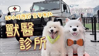 【獸醫診所】參觀位於K11 Musea，有自家救護車，全年無休24小時應診的獸醫診所｜西摩Tako｜@big_dog_channel