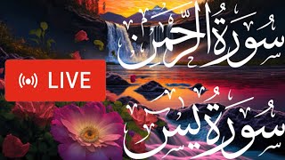 surah rahman + surah yaseen 🕌 💚 | quran tilawat| LIVE 🛜 |complete surah's #suraherahman