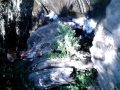 Devils pool