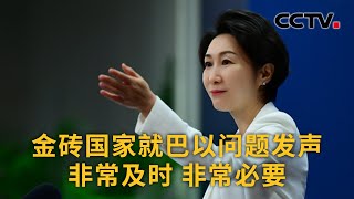 中国外交部：金砖国家就巴以问题发声非常及时 非常必要 |《中国新闻》CCTV中文国际