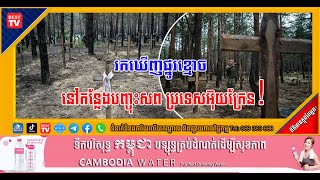 រកឃើញផ្នូរខ្មោច នៅកន្លែងបញ្ចុះសព ប្រទេសអ៊ុយក្រែន