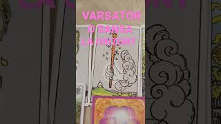 🌸 VARSATOR 🌸 O SANSA LA ORIZONT 🌸#tarot #varsator