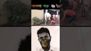 কোরবানির গান | Qurbani Song | Bangla new funny song 2023#islamic #shortvideo #youtubeshorts #love
