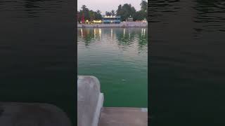 Rock mandapa of Suchindram Temple in the middle of pond #like #travel #share #subscribe