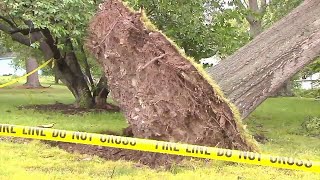 Cleanup continues following round of rough storms