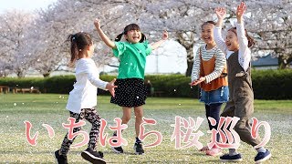 【千葉県市原市】いちはら桜めぐり