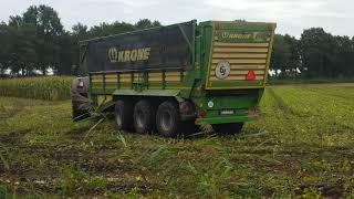 Jansen Rhede KG Chopping Corn with Krone and Fendt