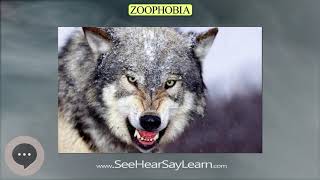 Zoophobia | Phobias, Fears, and Anxieties 😲😱🤪