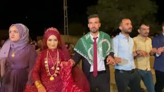 KARADAYI ORGANİZASYON SERDAR KARASU SALMAN KARASU (AYTEN 🌹KENAN ÇİFTİN KINA GECESİNDEN