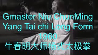 Yang Tai Chi- Niu ChunMing -long form. A disciple of Yang ChengFu 牛春明 杨式太极拳