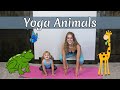 YOGA ANIMALS FOR KIDS | Jordan Cornwell