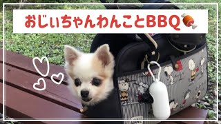 【BBQ】ピクニックサイト貸切！まきばの森