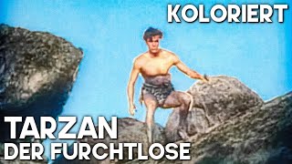 Tarzan - Der Furchtlose | KOLORIERT | Klassischer Abenteuerfilm