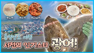 국민 생선, 광어 - 충남 서천  [6시N내고향] / KBS 방송