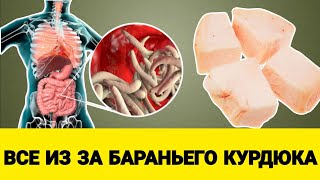 КУРДЮК: Какие Болезни лечит бараний курдюк? #курдюкпольза #баранийкурдюк