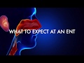What to Expect at an ENT with Dr. David Mener