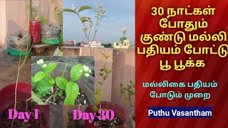 மல்லிகை செடி பதியம் போடுவது எப்படி||malligai chedi pathiyam poduvathu eppadi||