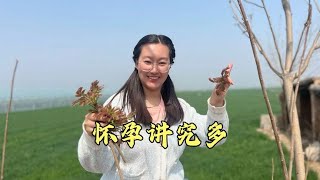 河北这边习俗好多，孕妇不准去看月子，不准参加婚礼，好郁闷