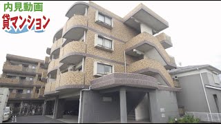 【内見実況】家族で住む２ＬＤＫ賃貸マンションってどんなだろう『グランコート富水』大東建託