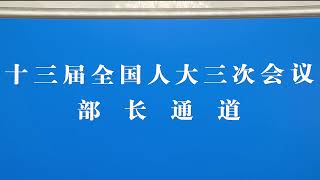 直播|中国十三届全国人大三次会议开幕