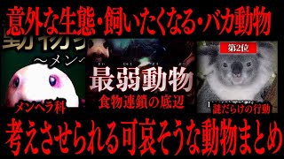 【切り抜き】考えさせられる可哀そうな動物まとめ【たっくーTV/作業用】