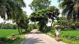 সবুজে ঢাকা গ্রামের মেঠোপথ ধরে গ্রামের দৃশ্য। Wonderful Rural Village Area Scenery of Bangladesh