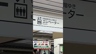 (速報)EXE30055編成+30255編成はモーニングウェイ号新宿OH01行としてOH36伊勢原駅を通過しておりました！