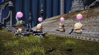 FF14　友好部族クエスト　モーグリ族　開放　モーグリサイド