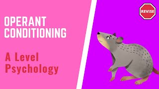 A Level Psychology - Operant Conditioning