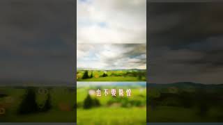 每日經文(智慧與引導篇) | 迷失方向怎麼辦 | 申命記31:8 耶和華必在你前面行；他必與你同在，必不撇下你，也不丟棄你。不要懼怕，也不要驚惶。#聖經 #經文 #基督教 #基督耶穌 #鼓勵