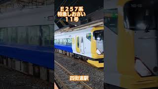 特急しおさい11号佐倉行‼️四街道駅到着からの発車‼️ ＃特急しおさい11号佐倉行 ＃四街道駅 2024/7/17 21時27分