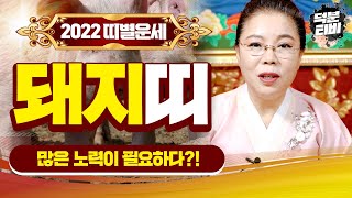 2022 임인년 돼지띠 운세 총정리｜돼지띠는 임인년에 오로지 한 우물만 파야 성공한다?!